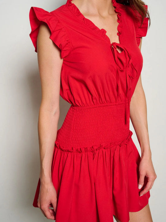 010325 Elouise Ruffle Sleeve V-neck Smock Fit & Flare Mini Dress