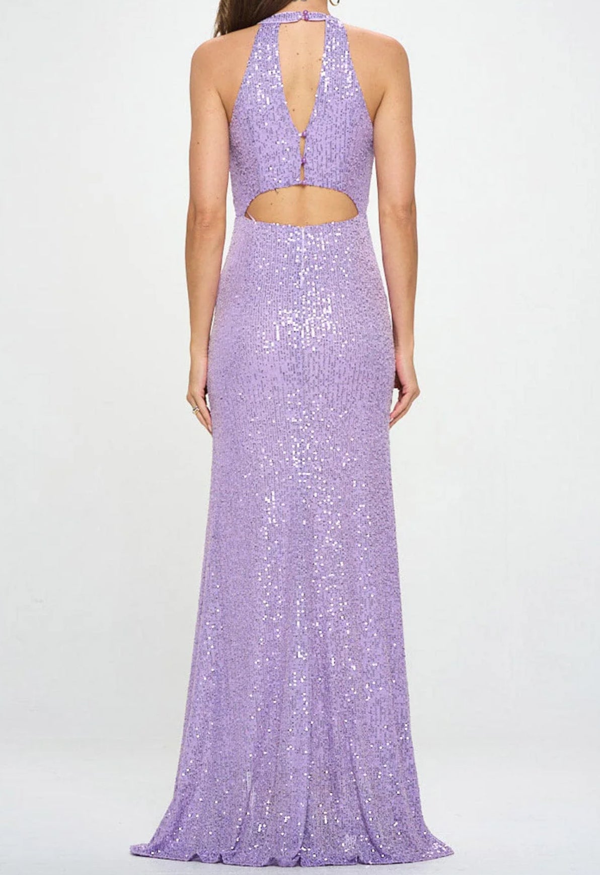 100924 - Demi Sleeveless Halter Cut out Back Gown