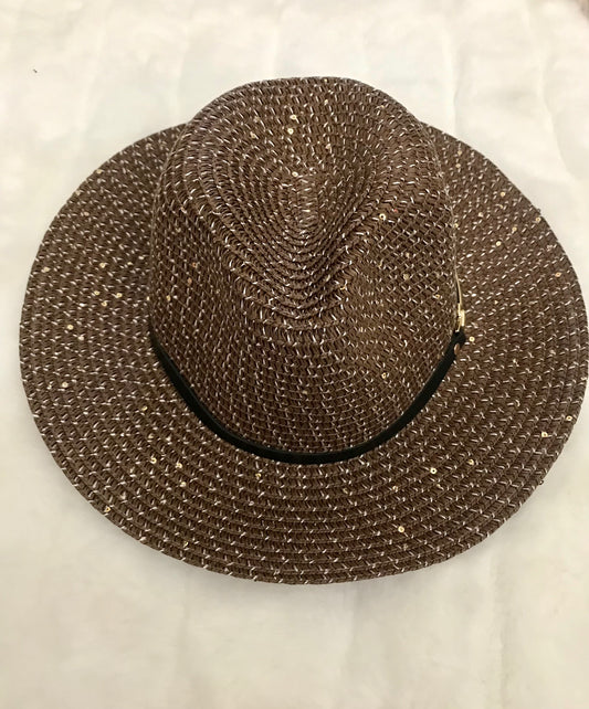 Panama Brown Brim Hat